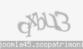 Codul de securitate