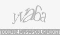 Codul de securitate