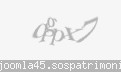 Codul de securitate