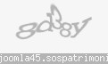 Codul de securitate