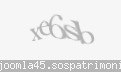Codul de securitate