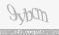 Codul de securitate