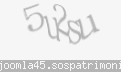 Codul de securitate