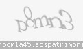 Codul de securitate