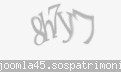 Codul de securitate