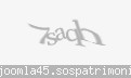 Codul de securitate