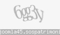 Codul de securitate