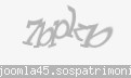 Codul de securitate