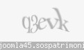 Codul de securitate