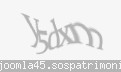 Codul de securitate