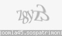 Codul de securitate