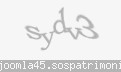 Codul de securitate