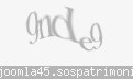 Codul de securitate