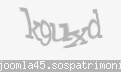 Codul de securitate