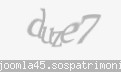 Codul de securitate