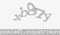 Codul de securitate
