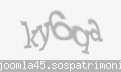 Codul de securitate