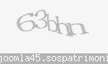 Codul de securitate