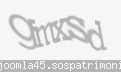 Codul de securitate