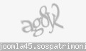 Codul de securitate