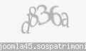 Codul de securitate
