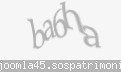 Codul de securitate