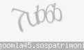 Codul de securitate