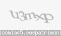 Codul de securitate