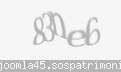Codul de securitate