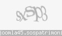Codul de securitate