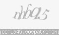 Codul de securitate
