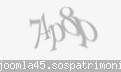 Codul de securitate