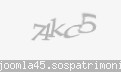 Codul de securitate