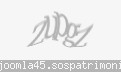 Codul de securitate