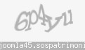 Codul de securitate