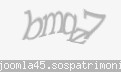Codul de securitate