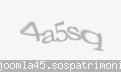 Codul de securitate