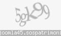 Codul de securitate