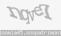 Codul de securitate
