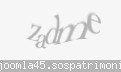 Codul de securitate