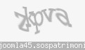 Codul de securitate