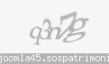 Codul de securitate