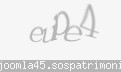 Codul de securitate