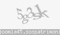 Codul de securitate