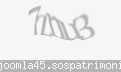 Codul de securitate