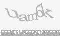 Codul de securitate