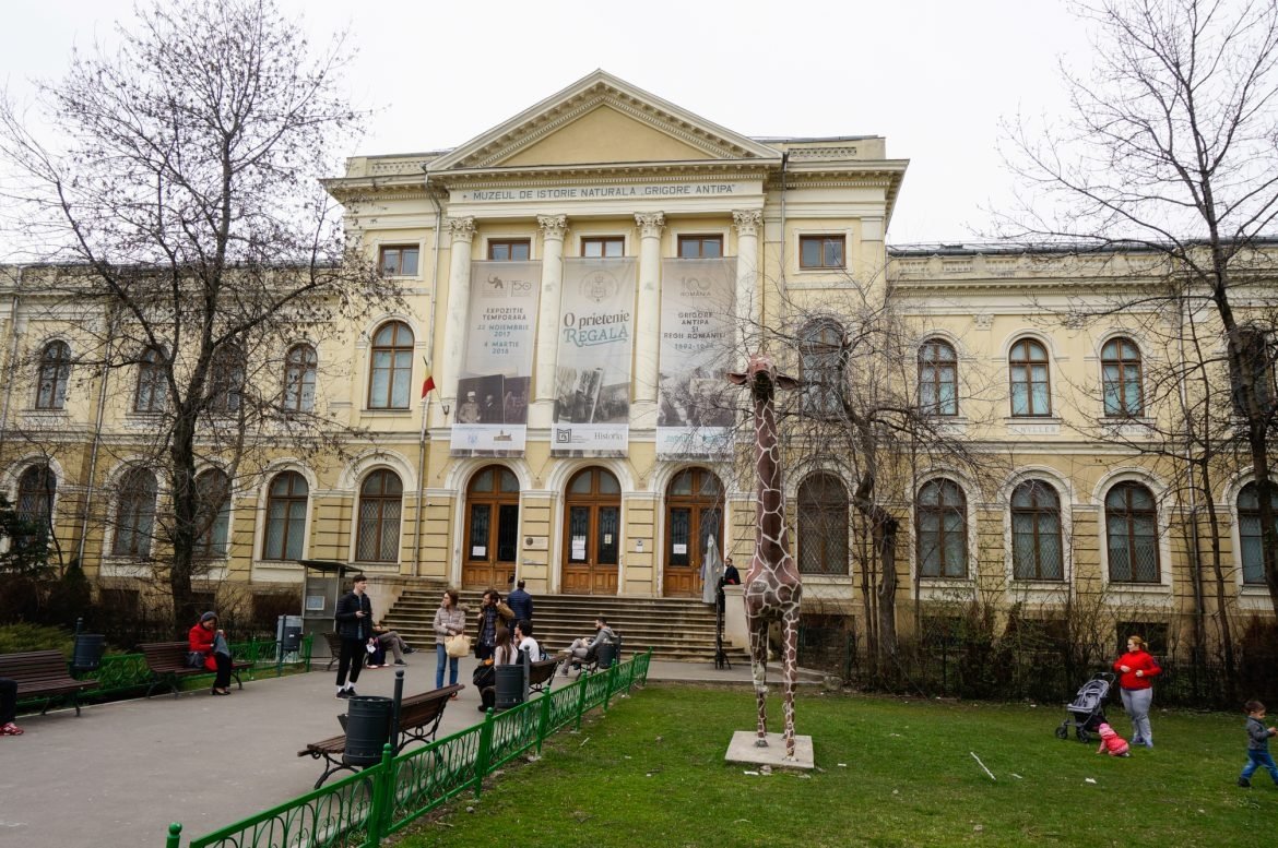Muzeul Național de Istorie Naturală "Grigore Antipa"